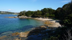 Sea creek along the Manly to Spit Walk, Australia