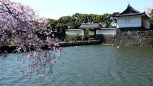 Imperial Palace 1, Tokyo, Japan