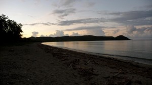 Turtles beach in Nouvelle Calédonie