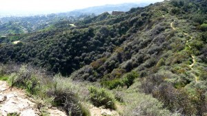 Griffith Park, Los Angeles, USA