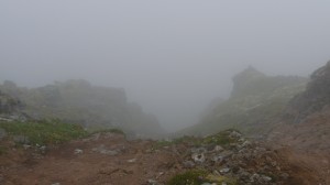 Lost into the fog 1, in Hornstrandir