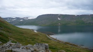 Heysteri 1, Hornstrandir