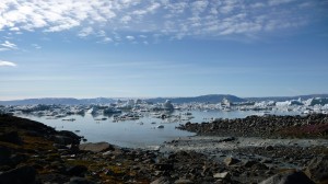 Sea of icebergs 1