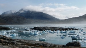 Sea of icebergs 2