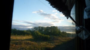 Siberian Forest