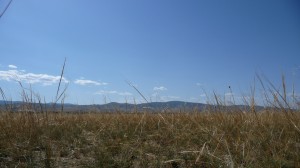 Mongolian steppes 1