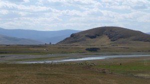 Mongolian steppes 2