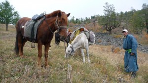 Horses and guide