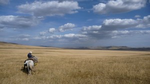 Horse riding in the Mongolian steppes