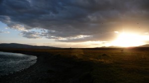 Sunset on the steppes with Yak, in Mongolia