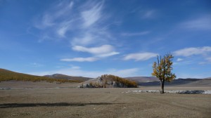 Tree and Mountains, Khovsgol Nuur