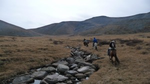 Mountains, river and horses, Khovsgol Nuur