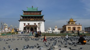 Gandan Khiid, birds and kid