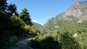 Around Bagarchhap, Annapurna, Nepal