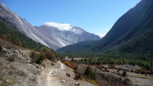 Around Bhratang, Annapurna, Nepal