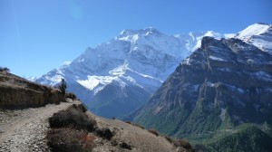 Around Ghyaru, Annapurna, Nepal