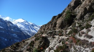 Around Nawal 1, Annapurna, Nepal