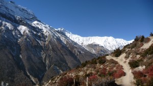 Around Khangsar 1, Annapurna, Nepal