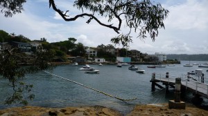 Sydney beach with shark protection