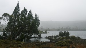 Lake and fog, Overland Track, Tasmania