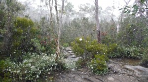 Snow on the Overland Track, Tasmania