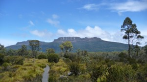 Sunshine on the Overland Track, Tasmania