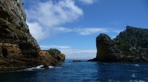 Poor Knights Islands, 1, New Zealand