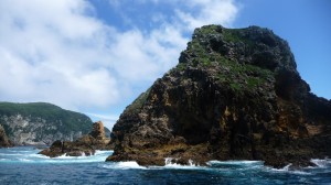 Poor Knights Islands, 2, New Zealand