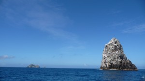 Poor Knights Islands, 3, New Zealand