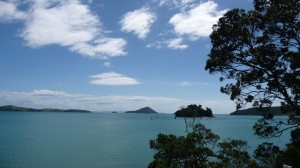 Coromandel, New Zealand