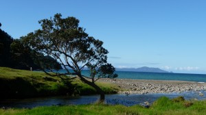 Stony Bay 1, Coromandel, New Zealand