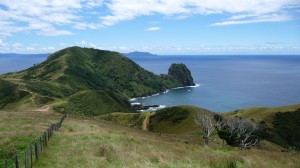 Inland track, Coromandel, New Zealand