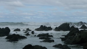 Big waves in the sea, Kaikoura, New Zealand