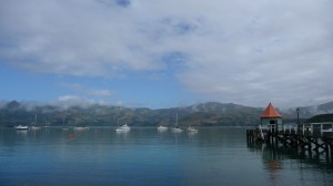 Sea in Akaroa, New Zealand