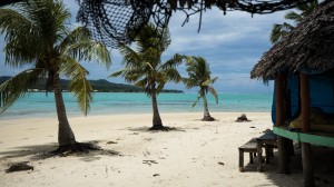 Palm Trees on Namua Island, Samoa