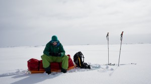 Dave checking the map, Greenland